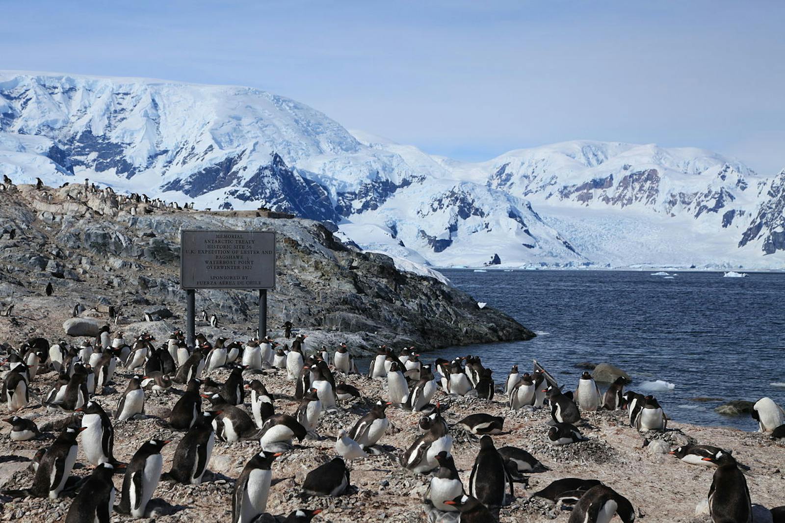 Define Antarctic Tundra